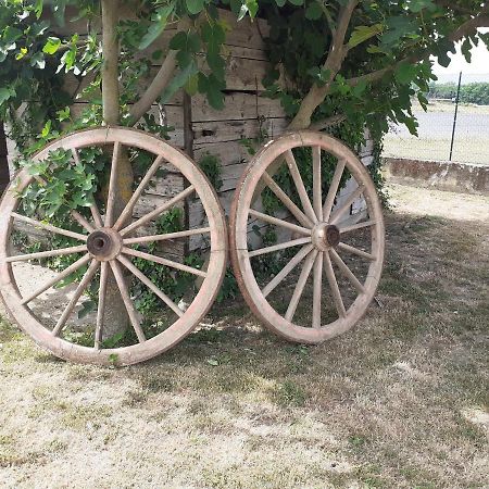 La Fiora Bed and Breakfast Sansepolcro Buitenkant foto