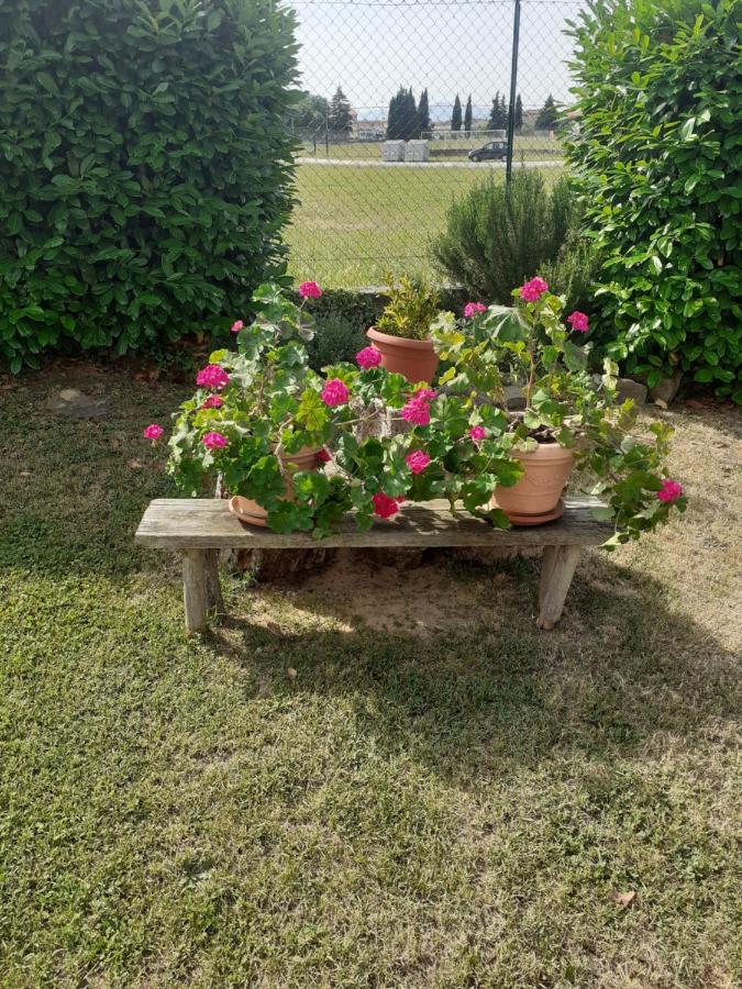 La Fiora Bed and Breakfast Sansepolcro Buitenkant foto